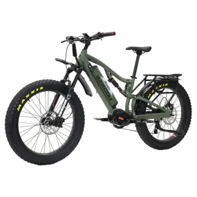 Bakcou Storm eBike