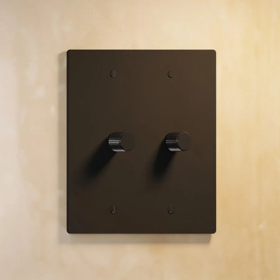 Brass Rotary Dimmer Switch (2-Gang)