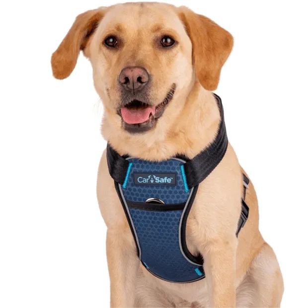 COMPANY OF ANIMALS - Carsafe Crash Tested Dog Harness Blue