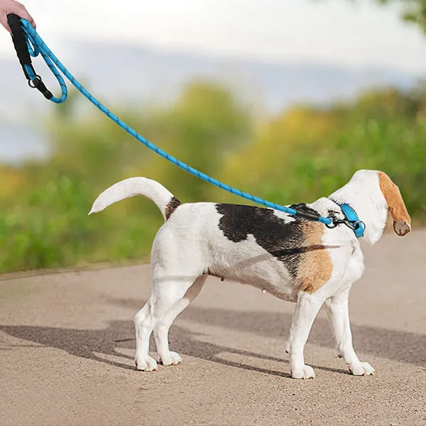 CozyPaws™ Heavy Duty Nylon Braided Dog Leash