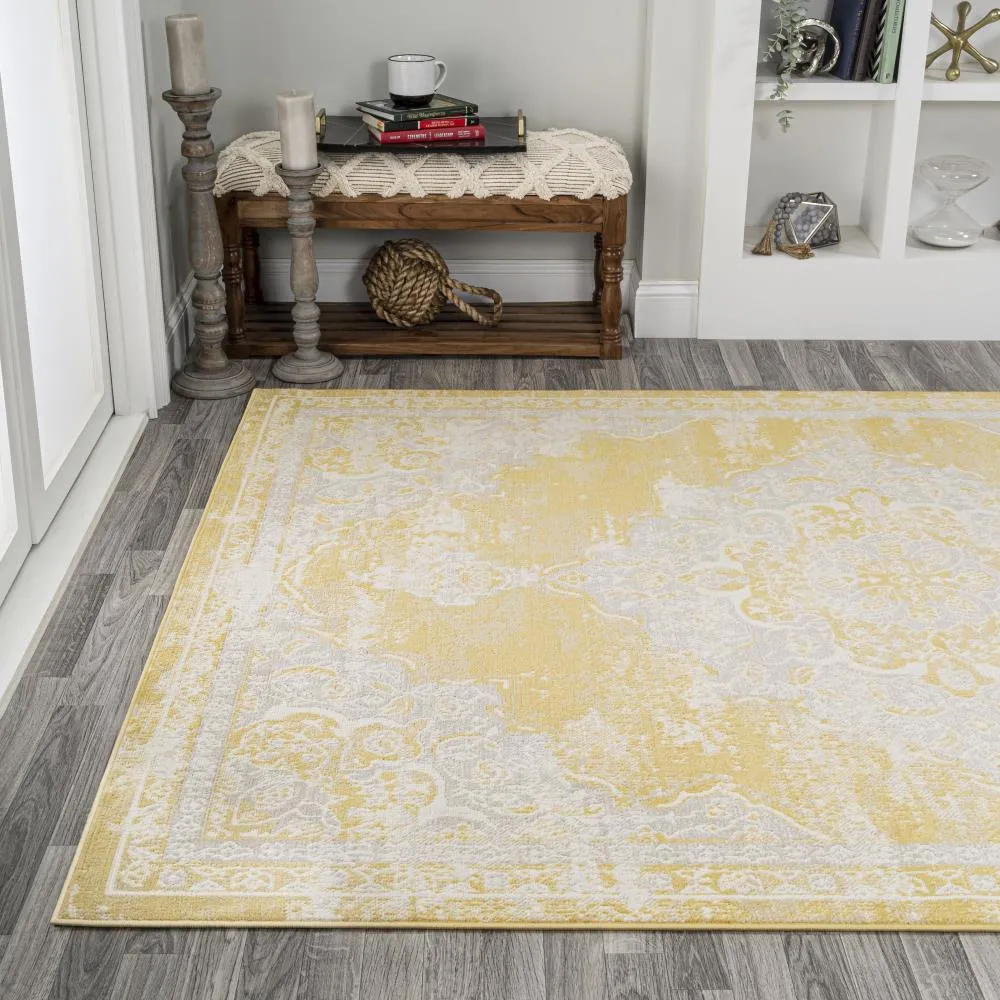 Danube Alhambra Ornate Medallion Modern Area Rug