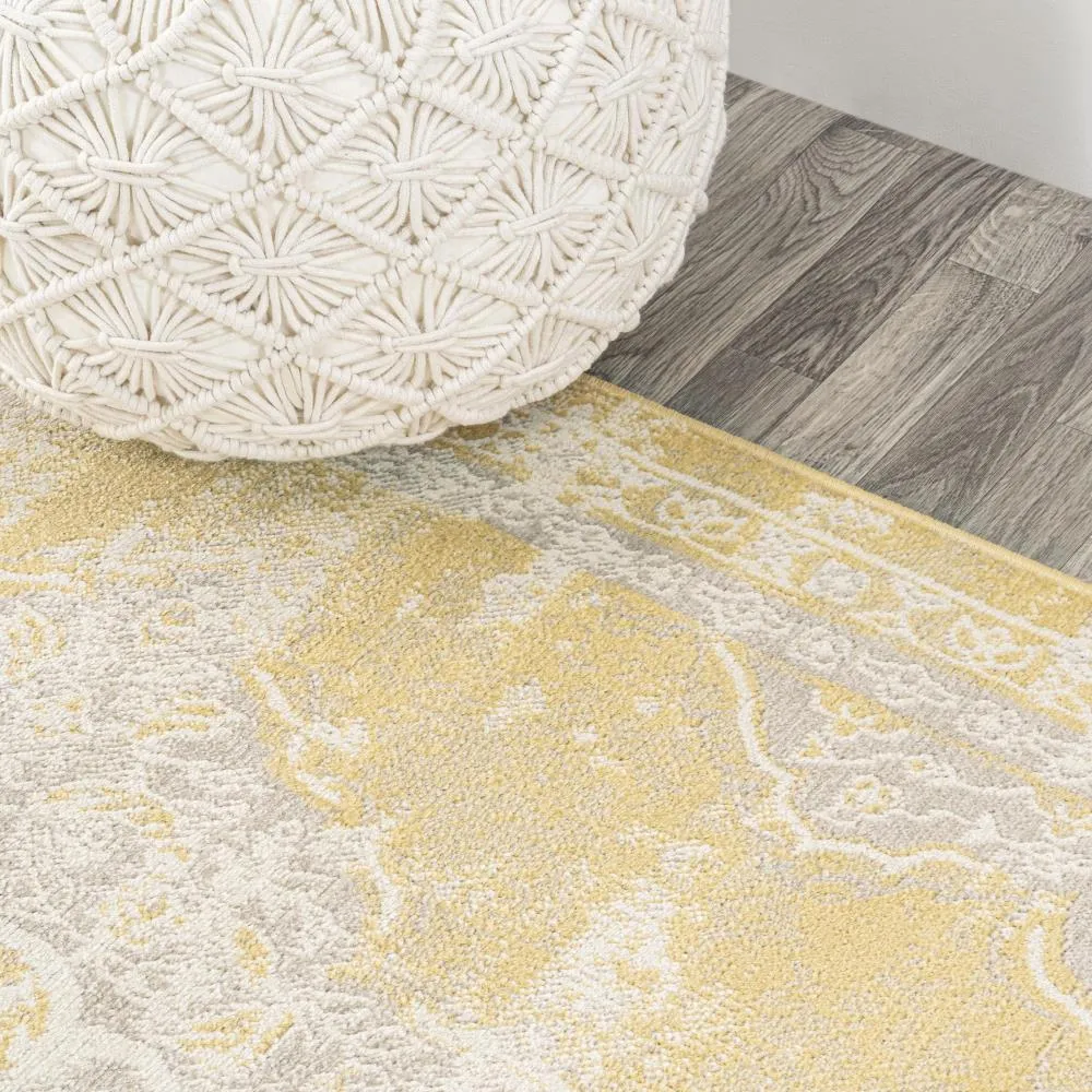 Danube Alhambra Ornate Medallion Modern Area Rug