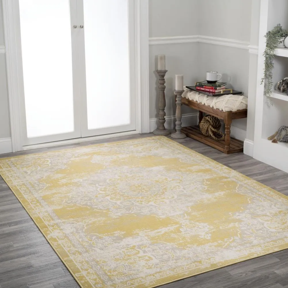 Danube Alhambra Ornate Medallion Modern Area Rug