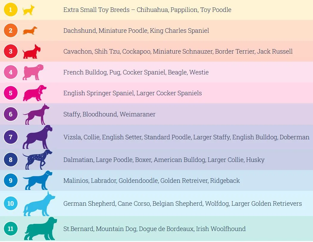 Doodlebone Originals Snappy Dog Harness Violet Stars 7 Sizes