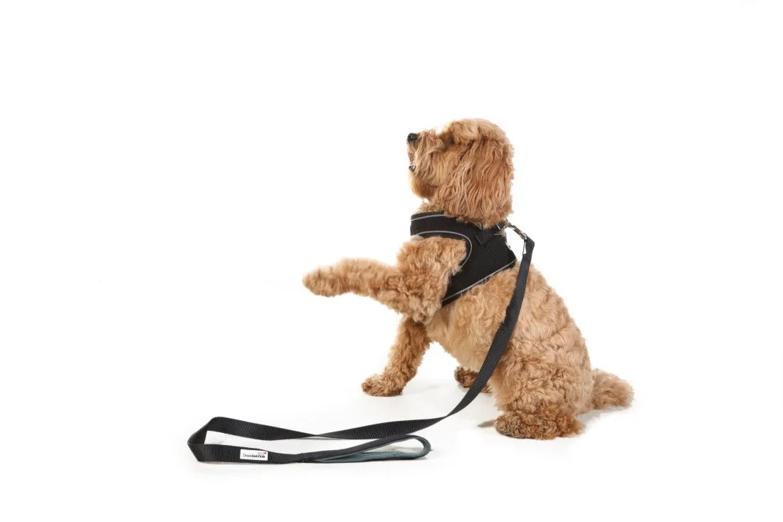 Doodlebone Snappy Dog Harness - Coal Black