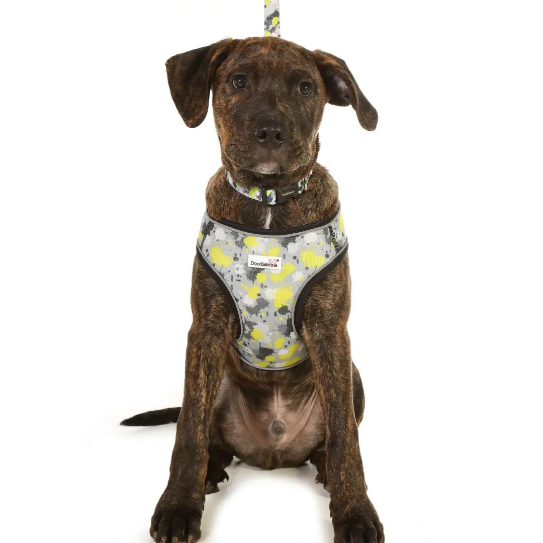 Doodlebone Snappy Step-In Dog Harness - Neon Paint Splat
