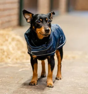 Horseware® Signature Dog Blanket