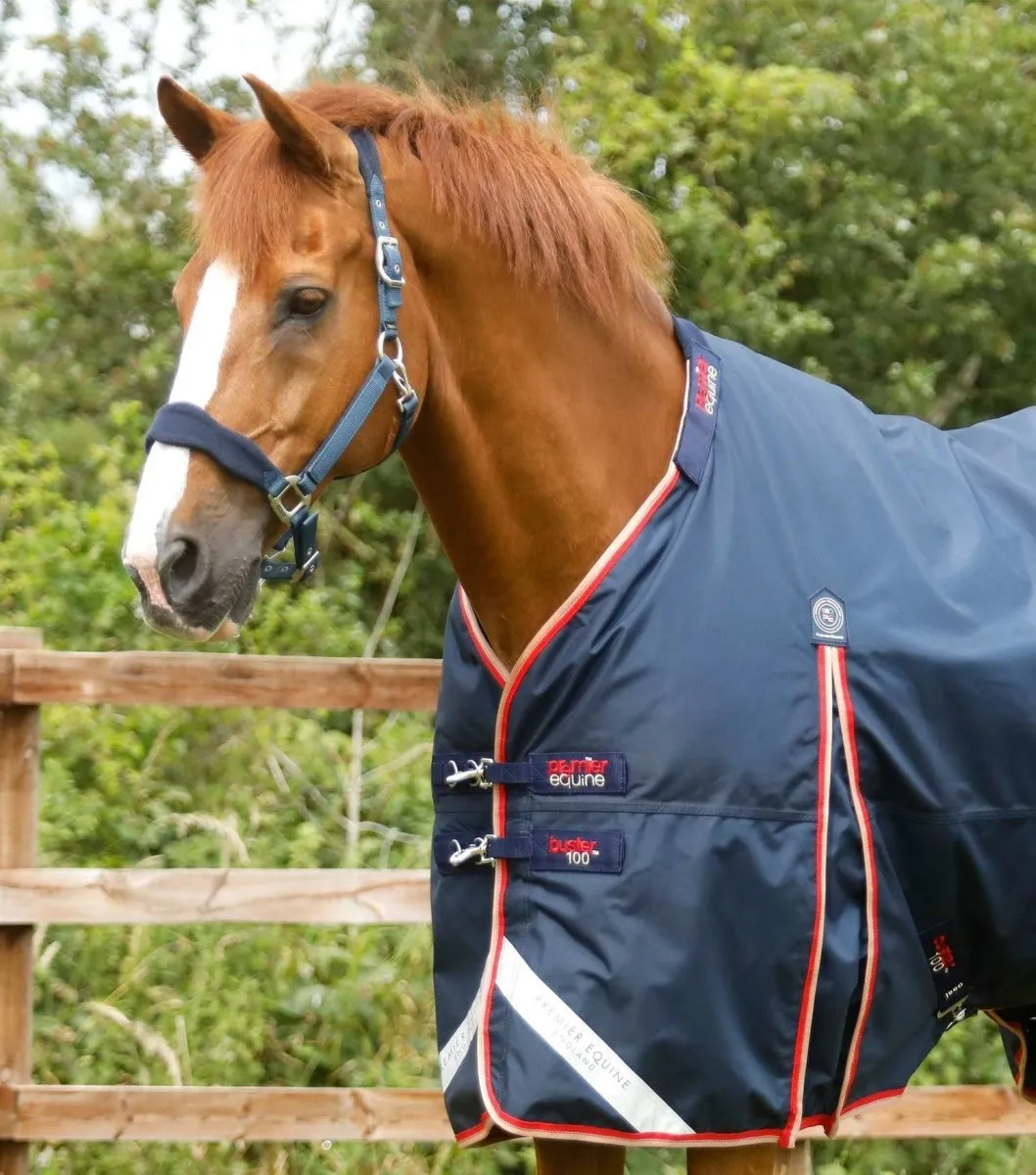 PEI Buster 100g Turnout Winter Rug (detachable neck)   BONUS BAG