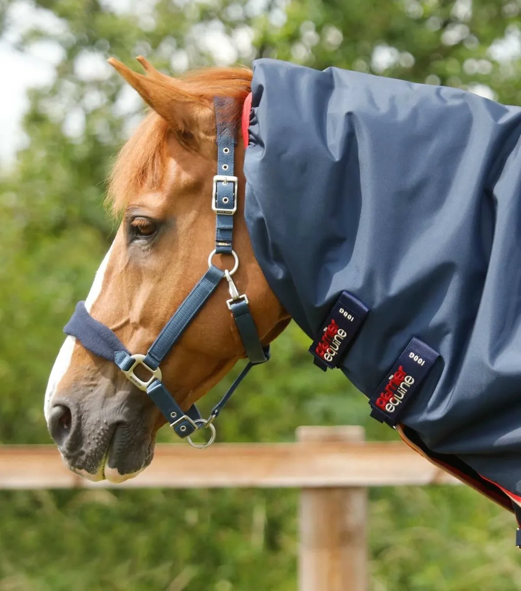 PEI Buster 100g Turnout Winter Rug (detachable neck)   BONUS BAG