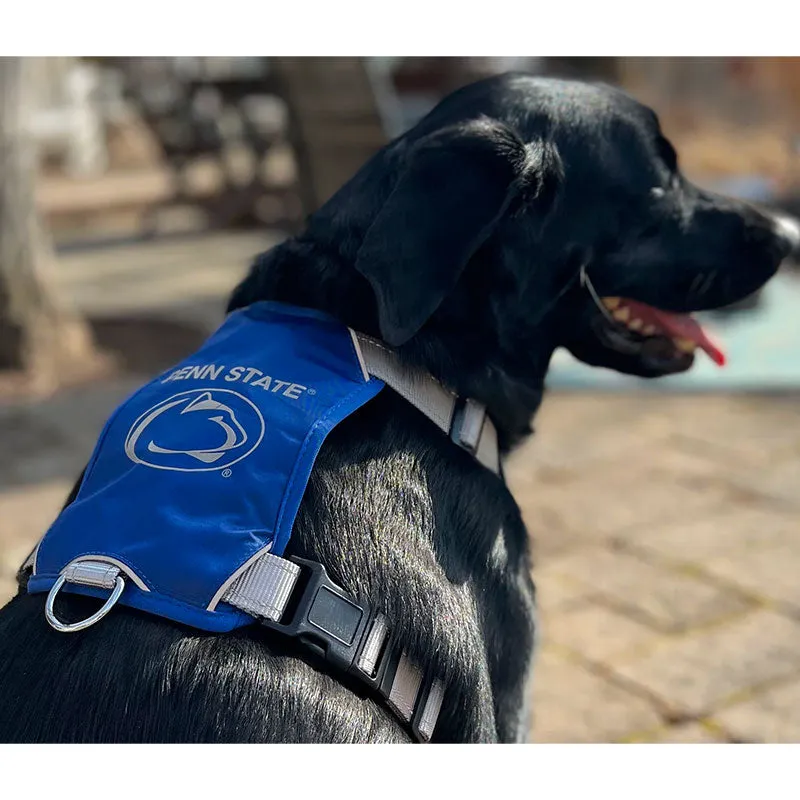 Penn State Pet Harness