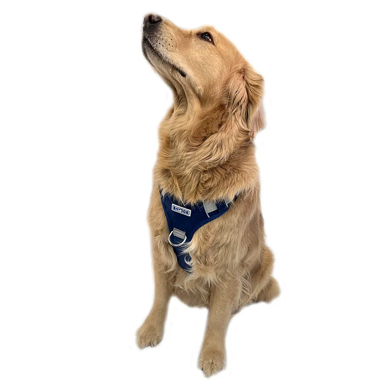 Penn State Pet Harness