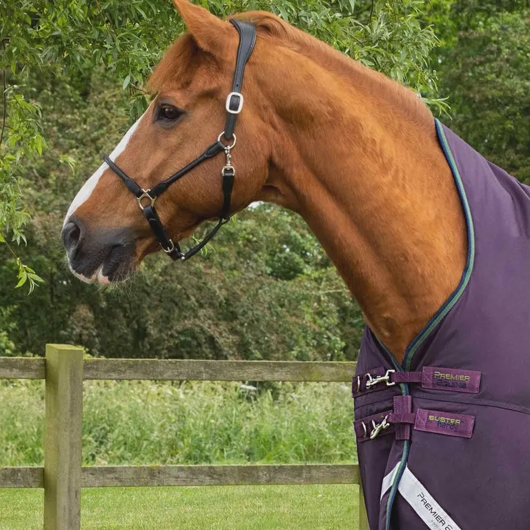 Premier Equine Buster Hardy 100g Half Neck Turnout Rug