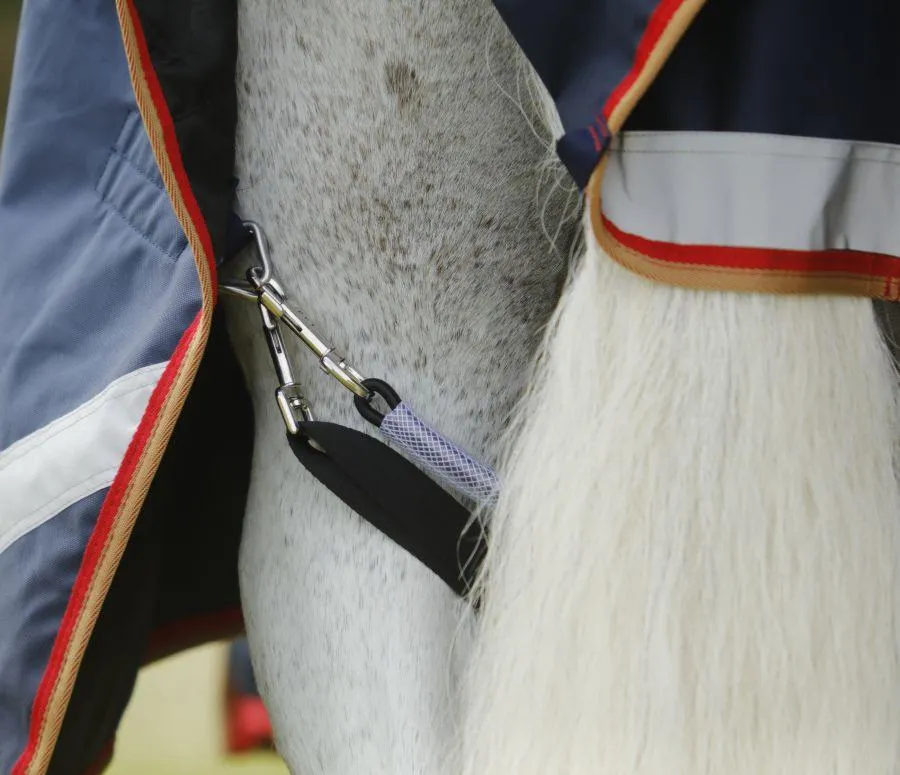 Premier Equine Buster Zero 0g Waterproof Rug with Classic Neck Cover