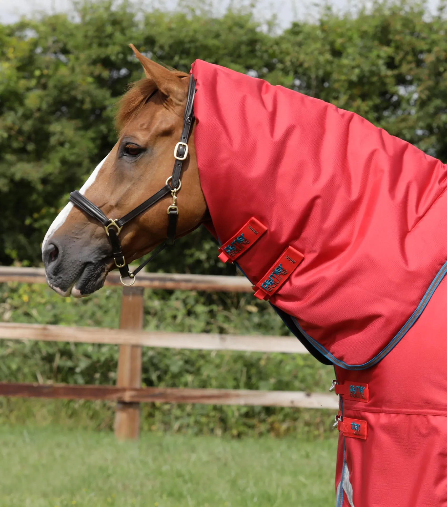 Premier Equine Titan 200g Turnout Rug with Snug Fit Neck Cover