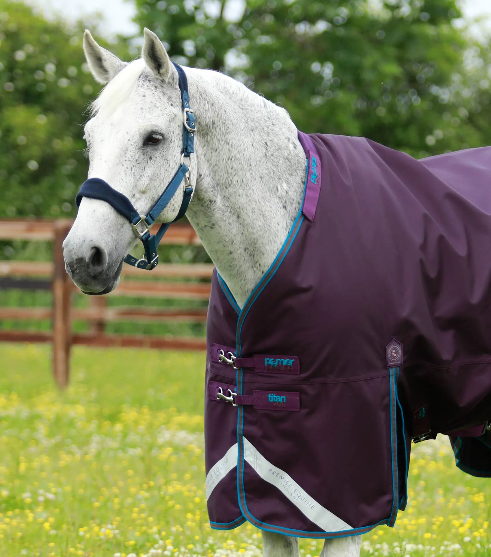 Premier Equine Titan 200g Turnout Rug with Snug Fit Neck Cover