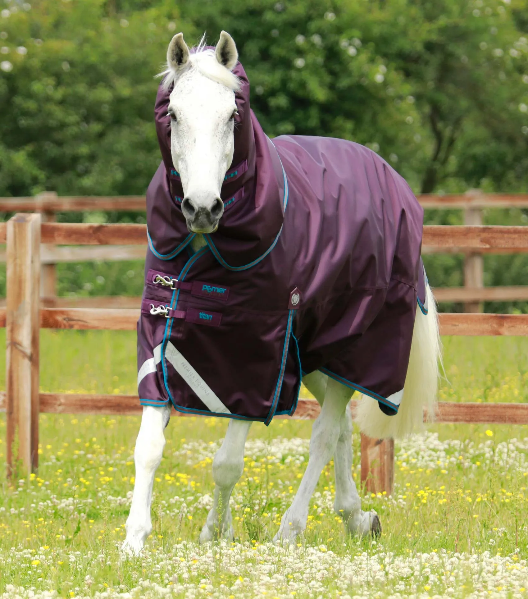 Premier Equine Titan 200g Turnout Rug with Snug Fit Neck Cover