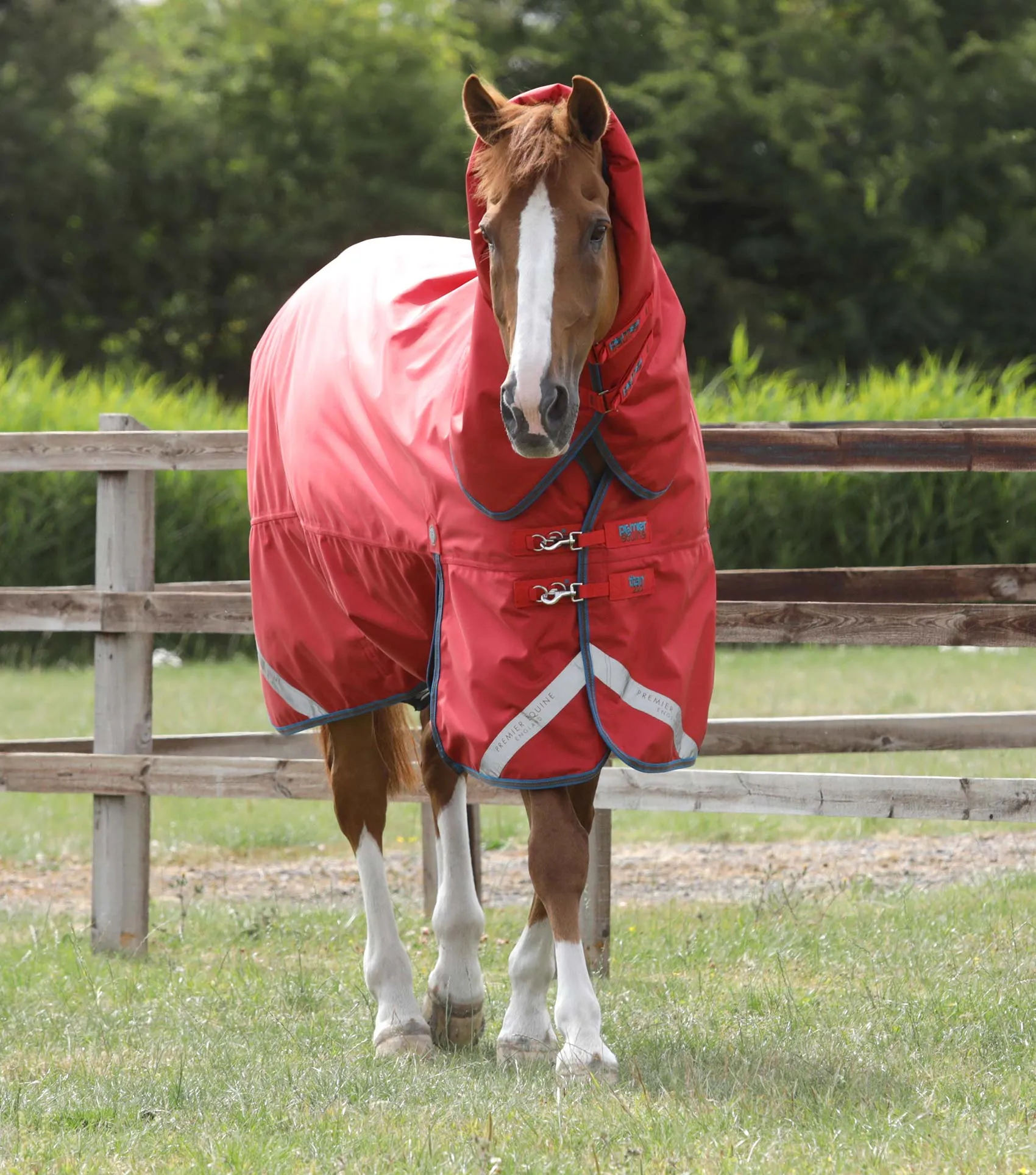 Premier Equine Titan 200g Turnout Rug with Snug Fit Neck Cover