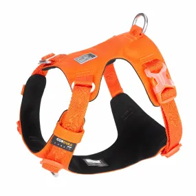 Premium Lightweight Cordura Harness