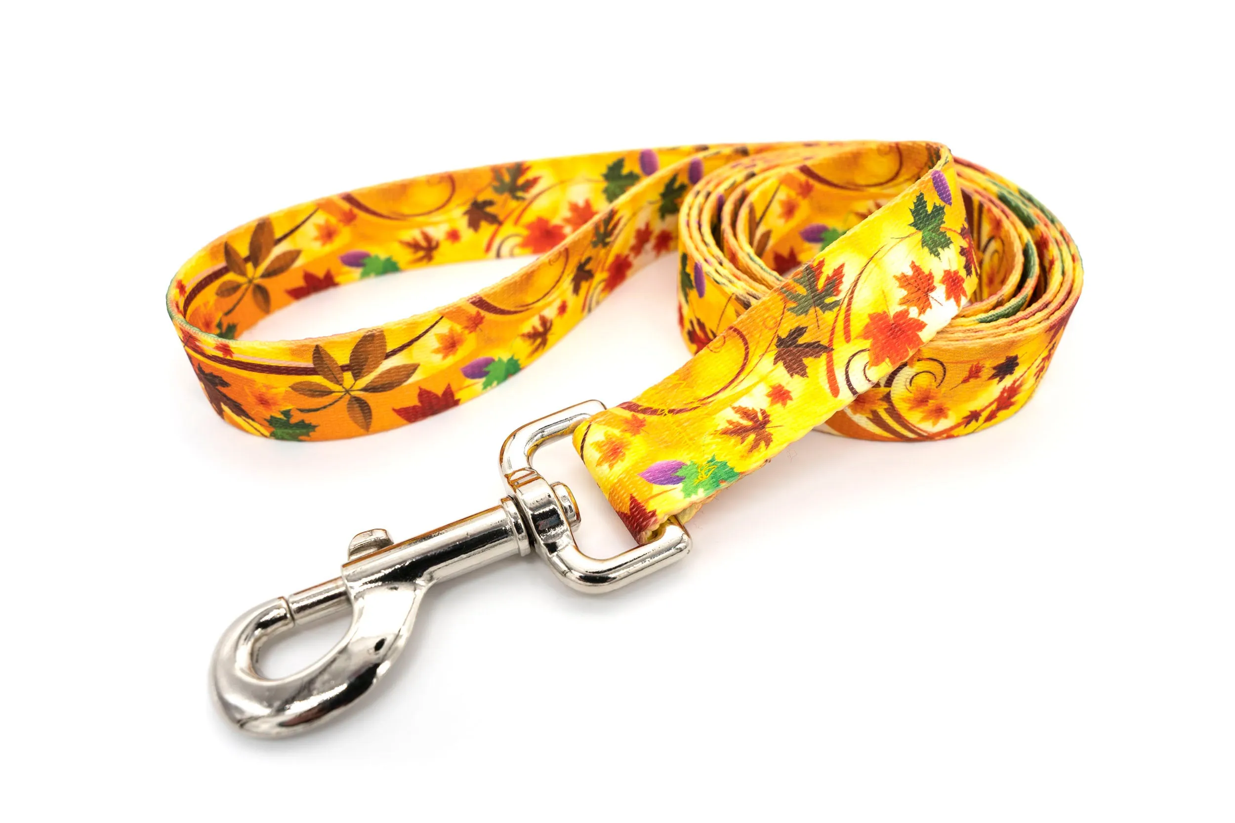 PRINTS - Leashes | 20 vibrant prints | 3 widths